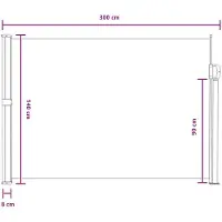 vidaXL Ausziehbares Seitenmarkise Grau 300 x 140 cm Polyester