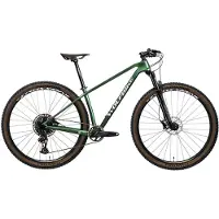 Wolfbike Saturnus 29´´ Gx Eagle Mountainbike