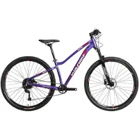 Wolfbike E-Bike für Damen Valkyria 29