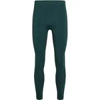 Falke Funktionsunterhose "Tights", Damen, Gr. L, 1 Stk., holly (7385), Unterhosen Funktionsunterhose
