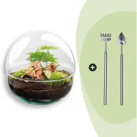 Urbanjngl Diy Terrarium - Kuppel Rot - 20 Cm