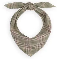 BONNIE STUDIOS Damen Schals Plaid Scarf - Groen - Größe ONESIZE