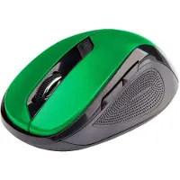 C-TECH Maus WLM-02 / Ergonomisch / Optisch / Für Rechtshänder / 1600 DPI / Kabellos USB / Schwarz-Grün