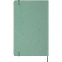 Moleskine Notizbuch L/A5, liniert, Salbeigrün