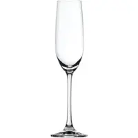 Spiegelau Champagnerflöte 12er Set - Salute 210ml - 12er Karton"