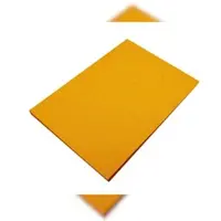 Clairefontaine 50x Europa Karton, Packung mit 50 Blatt A3 256g - Grün 3142Z