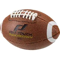PRO TOUCH Ball Touchdown Mini