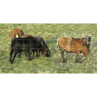 Floraworld Wildzaun 50 x 1 m feuerverzinkt