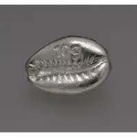 MC Metal Concentrators SA Silber 3-D Barren "Cowrie Muschel" 10g, gegossen
