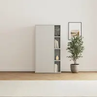SMARTBett GmbH SMARTBett Schrank STA.2.0016 (Serie M2 Tiefe 55cm) Höhe 168,2cm Perlgrau