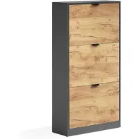 Vicco Schuhkipper Gizmo, Goldkraft Eiche/Anthrazit, 59 x 112 cm mit 3 Fächern