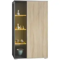 Vladon VITRINE Davos Eiche sägerau