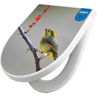 Banjado WC Sitz mit Absenkautomatik D Form Motiv Herbst Vogel [TDW3 12978]