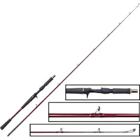 Westin W6 Jerkbait H 1,95m 20-80g - Jerkbaitrute