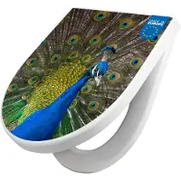 Banjado WC Sitz mit Absenkautomatik D Form Motiv Pfau [TDW3 10500]