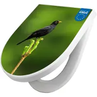 Banjado WC Sitz mit Absenkautomatik D Form Motiv Vogel auf Tannenzweig [TDW3 12974]