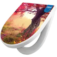 Banjado WC Sitz mit Absenkautomatik D Form Motiv Lichtung Im Herbst [TDW3 11177]