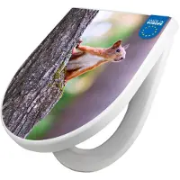 Banjado WC Sitz mit Absenkautomatik D Form Motiv Eichhörnchen [TDW3 10326]