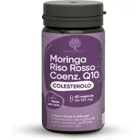 RedMoringa Roter Reis, CoQ10, Bockshornklee & Bio Moringa 60 Kapseln 1 St