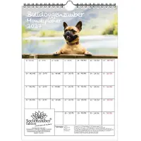 Seelenzauber GmbH Bulldoggenzauber Planer DIN A4 Kalender für 2027 Bulldoggen Hunde und Welpen - Geschenkset Inhalt: 1x Kalender, 1x Weihnachtsanhänger (insgesamt 2 Teile)