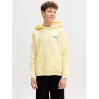 JACK&JONES JUNIOR Rückenprint Kapuzenpullover Boys