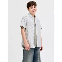Jack & Jones Devin Stripe Kurzarmhemd