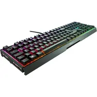 XTRFY MX 3.1, Kabelgebunden, USB, Mechanischer Switch, QWERTZ, RGB-LED, Schwarz