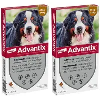 Advantix Spot-on Lsg.z.Auftr.a.d.H.f.Hund 40-60 kg 2x 2x4x6 ml Lösung