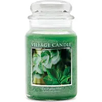 Village Candle Eukalyptus Mint Gro es Glas Apothekerglas Duftkerze 2125 oz gr n