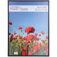 MCS Original Poster, 45,7 x 61 cm, Rahmen schwarz (23834)