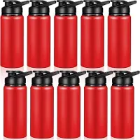 Melitt 10 Stück Wasserflasche 600 Ml, Wiederverwendbare Flaschen, Schnappdeckel, für Fitnessstudio, Sport, Camping, Wandern, Angeln, Rot
