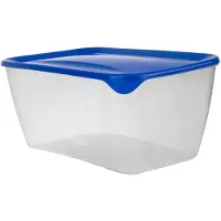 Keter Fresh Go Lebensmittelbehälter 5l Blau 250733..