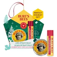 Burt's Bees Burt’s Bees Lippenpflege Cranberry Spritz Geschenkset 1 St