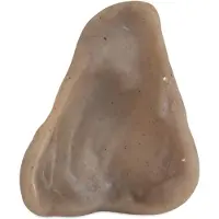 Pet Qwerks Bacon Pig Ear - Medium