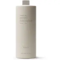 PREVIA / earth: Colour Aktivator 1000 ml 3 % (10 Vol.)