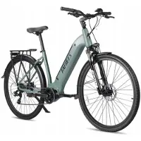 Fafrees E-Bike - - FM9 - 250W - 15Ah - 120KM Reichweite - Grün