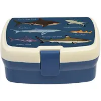 Rex London Lunch-Box mit herausnehmbarem Fach Sharks