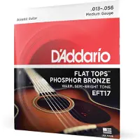 Daddario Eft17