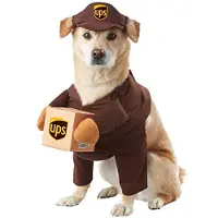 Morris Costumes CC20151MD Haustier-UPS-Freund, Gr e M