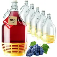 Hobby Hall 6x Wine Carboy 5L Balloon Lady in Basket Weinflasche + Verschluss