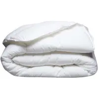 Blanreve Milbenabweisende Bettdecke für gemäßigte Temperaturen - 300 gr/m² - - 200 x 200 cm - Weiß