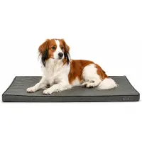 Lionto Hundematte orthopädisch, druckentlastende Memory-Foam Liegefläche, rutschfeste Unterseite & abnehmbarer Bezug, 80x55 cm, grau