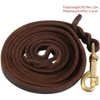 Torribaly 2M Lange Leder Geflochtene Haustier Hund Spaziergang Traktion Kragen Strap Training Leine Blei