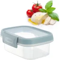 Curver Smart Fresh Frischhaltebehälter Rechteckig 0.2L Grau/Transparent
