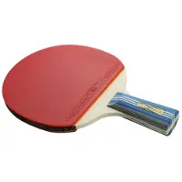 Typecat HuIESON Tischtennis-Einzelschläger, Doppelseitiger Anti-Kleber-Tischtennisschläger für Anfänger, Professioneller Trainingsschläger A