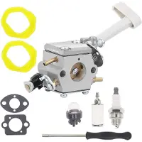 Tlily 308054079 Vergaser für RY08420 RY08420A BP42 Gebläse