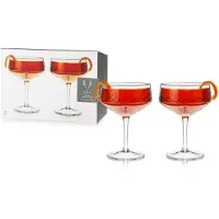 Viski Admiral Coupe Glasses by