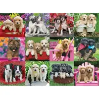Ravensburger 12000196, 500 Stück(e), Tiere, 12 Jahr(e)