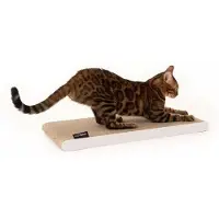 OEM Umkehrbare Krabplank für Katzen aus Karton weiß