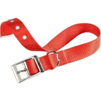 Ferplast Nylon-Halskette Club Cf20 43 Rot